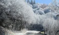 Winter in the Great Smoky Mountains of North Carolina Royalty Free Stock Photo