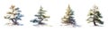 Winter Green pine trees watercolor set collection.