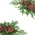 Winter Greenery Border Royalty Free Stock Photo