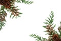 Winter Greenery Border with Cedar & Pine Cones Royalty Free Stock Photo