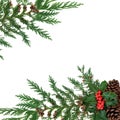 Winter Greenery Border with Holly Cedar & Pine Cones Royalty Free Stock Photo