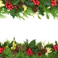 Winter Greenery for Christmas and New Year Background Royalty Free Stock Photo