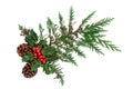 Winter Greenery with Holly Cedar Leaves and Pine Cones Royalty Free Stock Photo