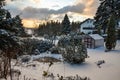 Winter greenhouse snow