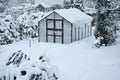 Winter greenhouse snow