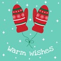 Winter greeting card in flat cartoon style. Nice knitted mittens on a string.