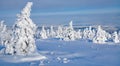 Brocken mountain,Harz national Park,Germany