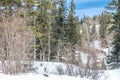 Winter has a hold on the park. Waiprous Creek Provincial Recreation Area Alberta Canada