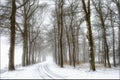 Winter has shortest days, longest nights and lowest temperatures than all other seasons .
