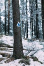 Winter Hasmas Mountains, Eastern Carpathians, Romania. Tracking signs