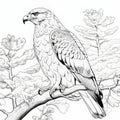 Winter Hawk Coloring Pages: Detailed And Realistic Illustrations For Nature Lovers