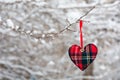 Winter heart Royalty Free Stock Photo