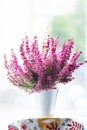 Erica gracilis- winter heather in full blossom Royalty Free Stock Photo