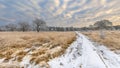 Winter heathland landscape panorama Assen Drenthe