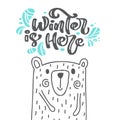 Winter is here calligraphy lettering scandinavian text. Xmas greeting card with hand drawn vector illustration cute bear Royalty Free Stock Photo