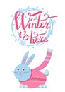 Winter is Here Little Gray Hare in Sweater Icon