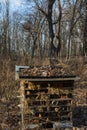 Winter Hibernation Insect Box Royalty Free Stock Photo