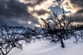 Winter hike on the Lofoten Islands