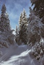 Winter hike on a sunny day with blue sky and frosty temperatures in the Italian Alps.