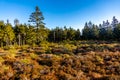 Winter hike in the Thuringian Forest to the highest point on the Rennsteig, the Schneekopf - Thuringia Royalty Free Stock Photo