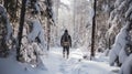 Winter hiker explores icy trails, embracing the frozen beauty.AI Generated