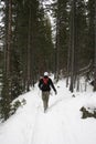 Winter Hiking