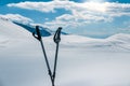 Winter hiking background, hikinh poles against sunny glacier