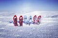 Winter hiking. Royalty Free Stock Photo