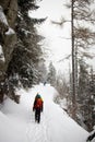 Winter hiking in the mountains on snowshoes with a backpack and tent Royalty Free Stock Photo