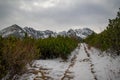 Winter hiking trail full of ice and snow on the tatra mountains in winter, Zakopane, Poland Royalty Free Stock Photo