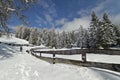 Winter Hiking trail, after a Snowfall