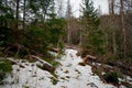 Winter hiking trail on the tatra mountains in winter close to Zakopane, Poland Royalty Free Stock Photo
