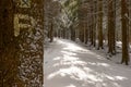 Winter hiking trail in the Thuringian Forest Royalty Free Stock Photo