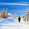 Winter hiking woman and dog Royalty Free Stock Photo