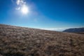 Winter hill nature composition. Royalty Free Stock Photo