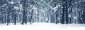 Winter holiday background, nature scenery with shiny snow and cold weather in forest at Christmas time Royalty Free Stock Photo