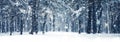 Winter holiday background, nature scenery with shiny snow and cold weather in forest at Christmas time