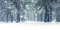 Winter holiday background, nature scenery with shiny snow and cold weather in forest at Christmas time Royalty Free Stock Photo