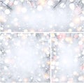 Winter holiday backgrounds with fir branches. Royalty Free Stock Photo