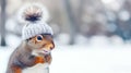 Winter holiday composition with cute squirrel in knitted hat on snowy landscape background Royalty Free Stock Photo