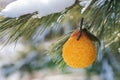 Winter holiday concept: decoration in the form of pear in orange color and frozen snow covered pine tree twigs in forest