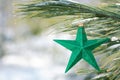 Winter holiday decoration concept: Ornament decoration in the form of star in green color and pine tree snow covered pine tree