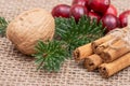 Winter holiday decoration: fraser fir twig, cinnamon sticks, walnut and cranberries on burlap