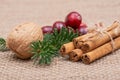 Winter holiday decoration: fraser fir twig, cinnamon sticks, walnut and cranberries on burlap