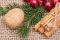 Winter holiday decoration: fraser fir twig, cinnamon sticks, walnut and cranberries on burlap