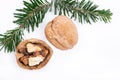 Winter holiday decoration: fraser fir twig and organic raw walnuts isolated on white