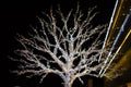 Winter holiday decorations at the artificial tree and Afyon park shopping center building illuminated at night