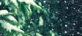 Winter Holiday Evergreen Christmas Tree Pine Branches Covered With Snow and Falling Snowflakes Texture Royalty Free Stock Photo