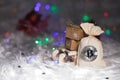 Winter holidays background: the sack with bitcoins.