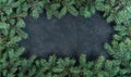 Christmas dark grunge background, fir twigs, top view. Royalty Free Stock Photo